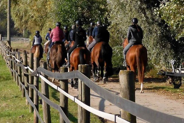 Bild aus dem Vereinsleben des Laubenheimer Reitvereins